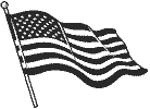 Image of American Flag